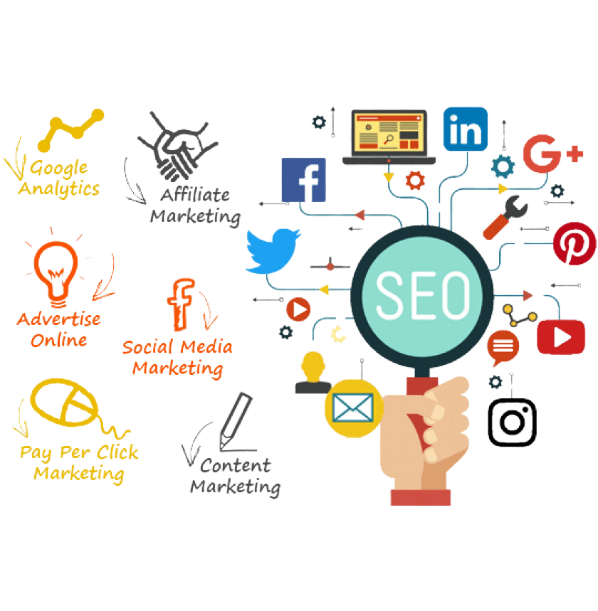 SEO Expert Certificate